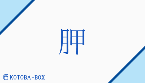 胛（コウ/かいがらぼね）の読み方や使い方詳細