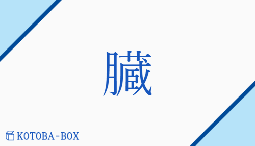 臓（ゾウ##【外】ソウ/【外】はらわた）の読み方や使い方詳細