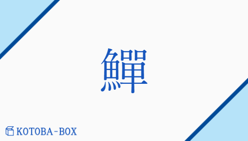 鱓（セン##ゼン##タ##ダ/うつぼ##ごまめ）の読み方や使い方詳細