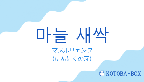 マヌルサェシク（韓国語:마늘 새싹の発音と意味）